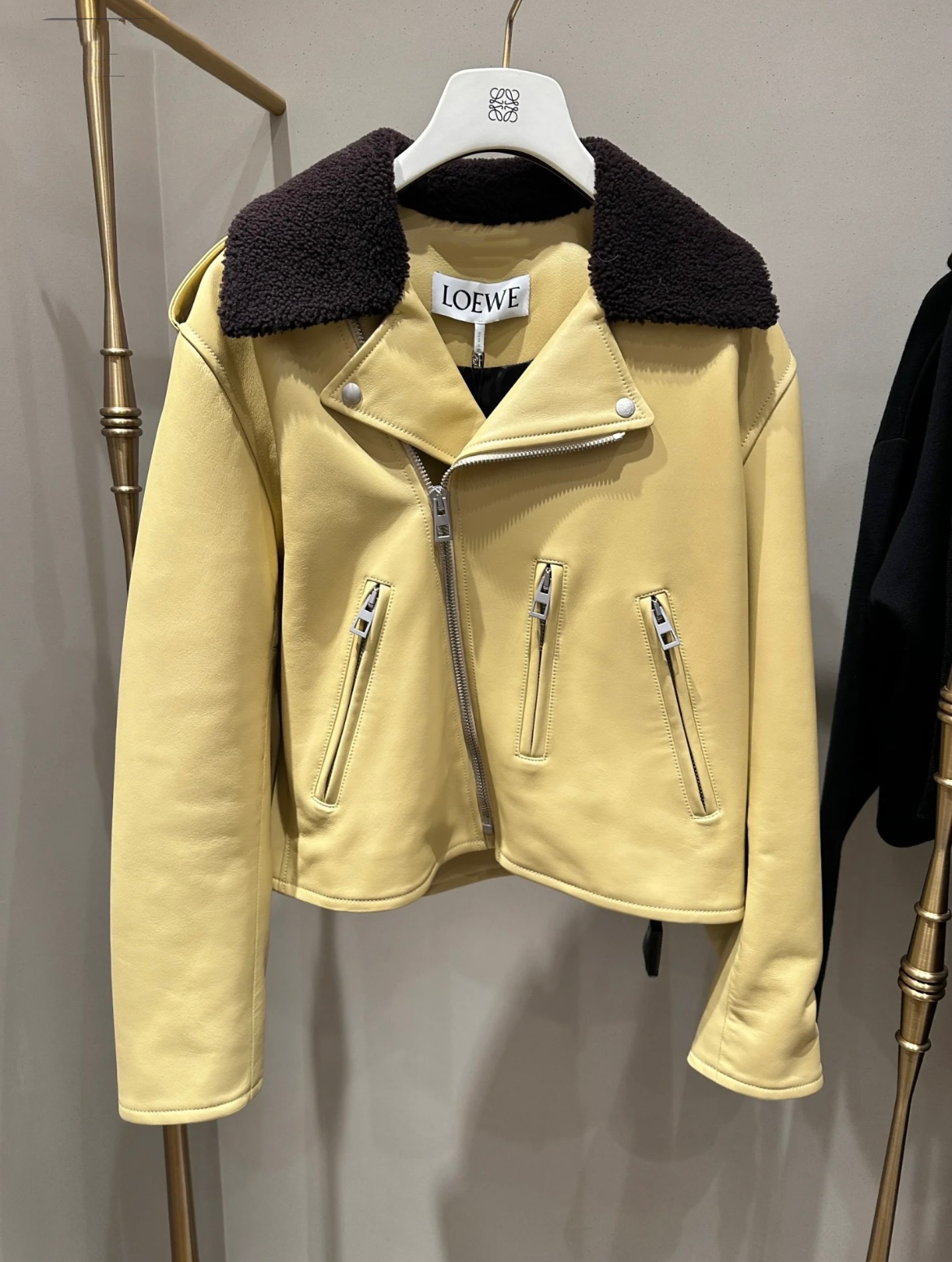 LOEWE Biker jacket in nappa lambskin