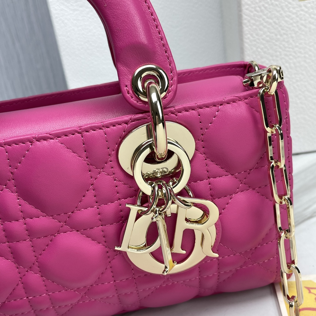 𝗗𝗶𝗼𝗿 𝗗-𝗝𝗼𝘆 𝗯𝗮𝗴- M0613