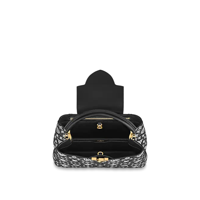 Louis vuitton Capucine MM