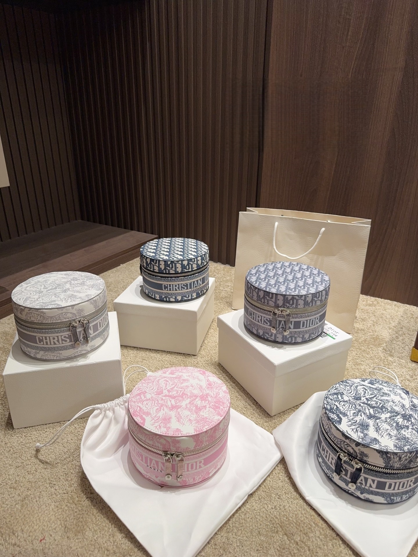 DIOR Signature Vanity Bag / Organizer