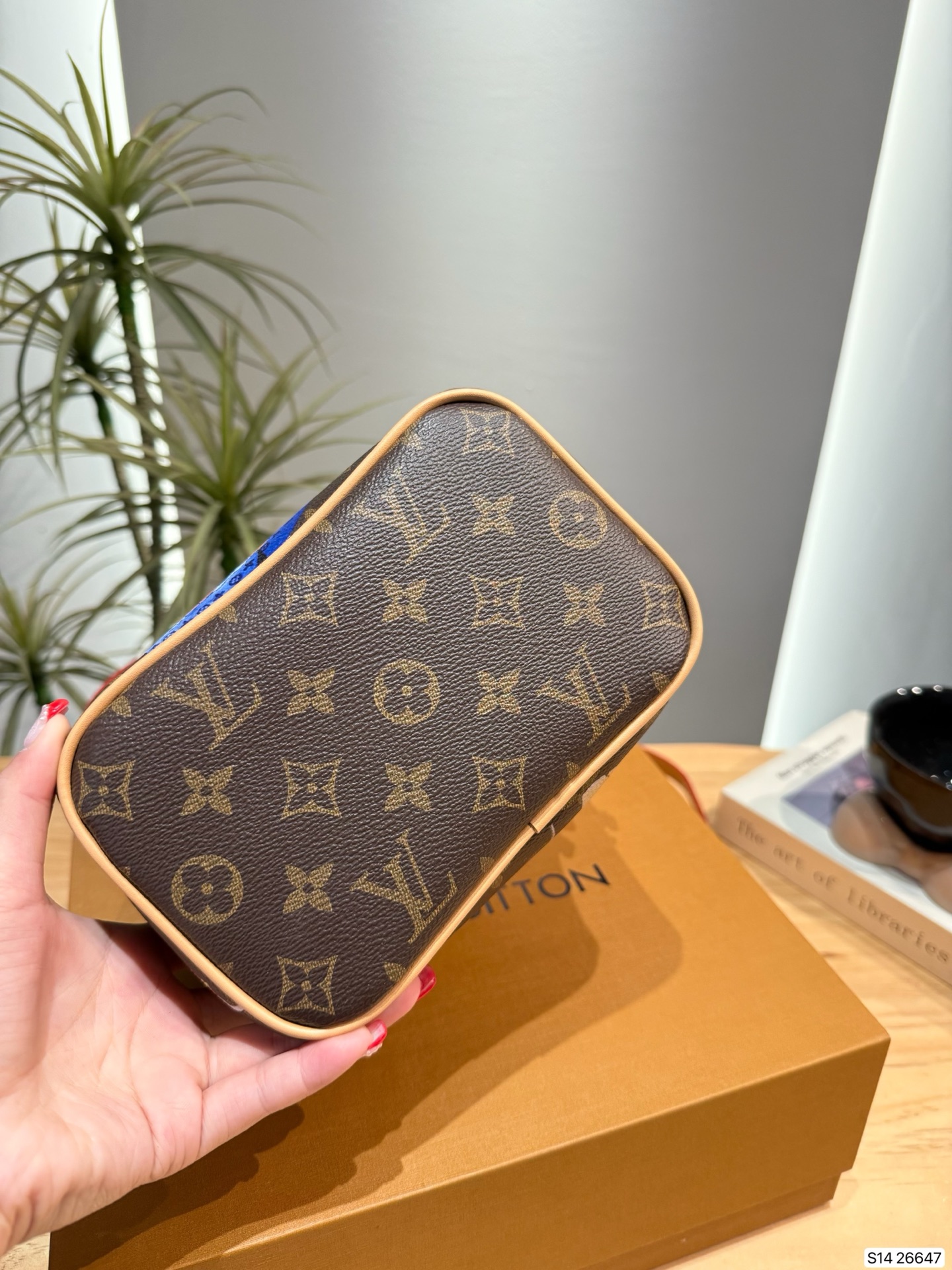 LOUIS VUITTON M26647 Nice Mini