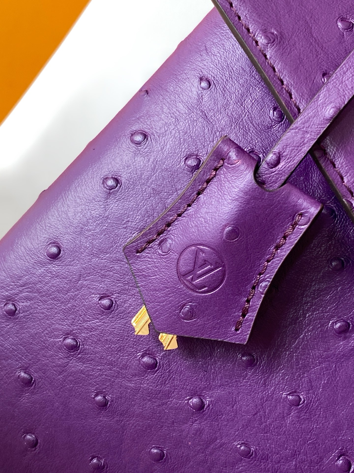 New Rose Des Vents Mini