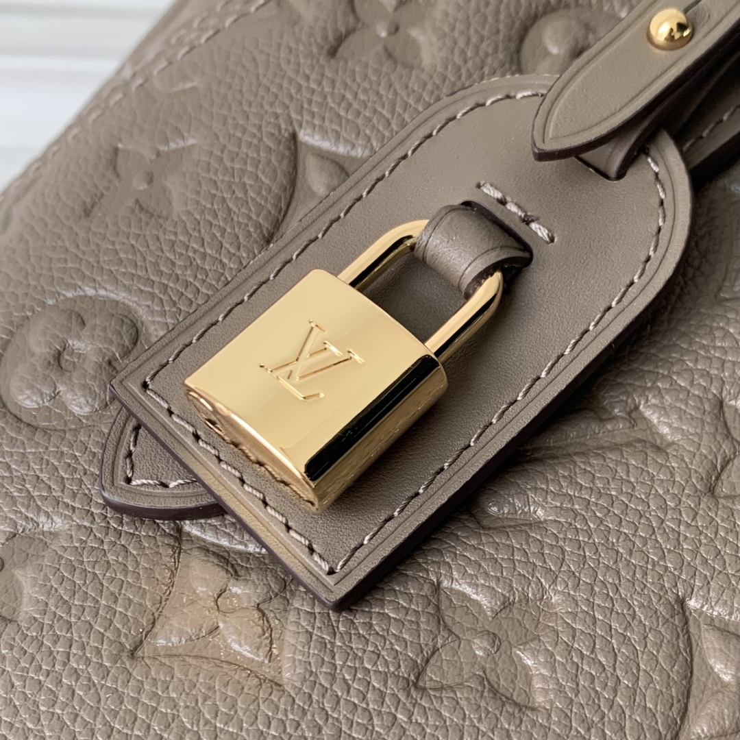LOUIS VUITTON M25890 All In One PM