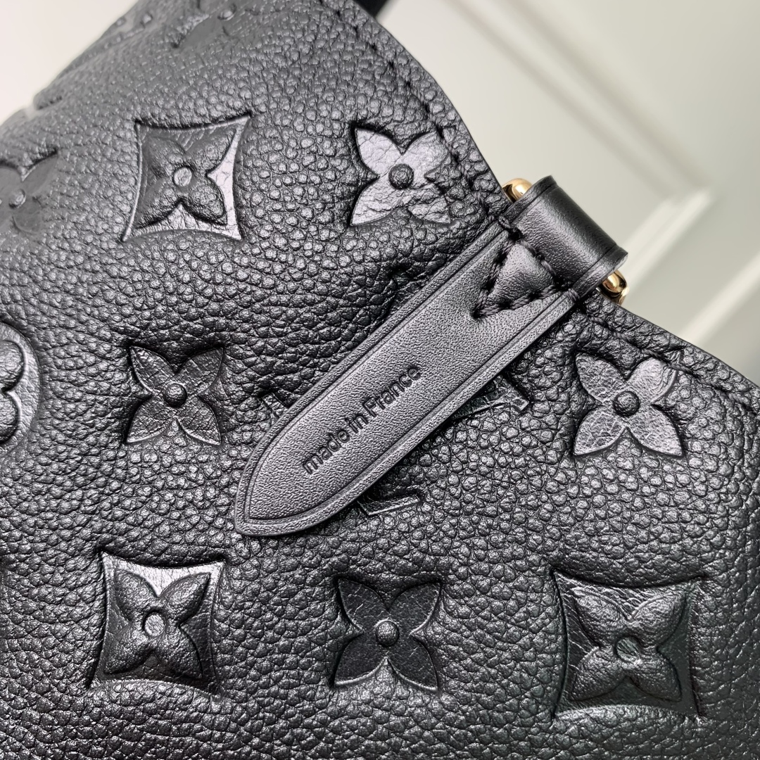 LOUIS VUITTON M25858 All In One PM
