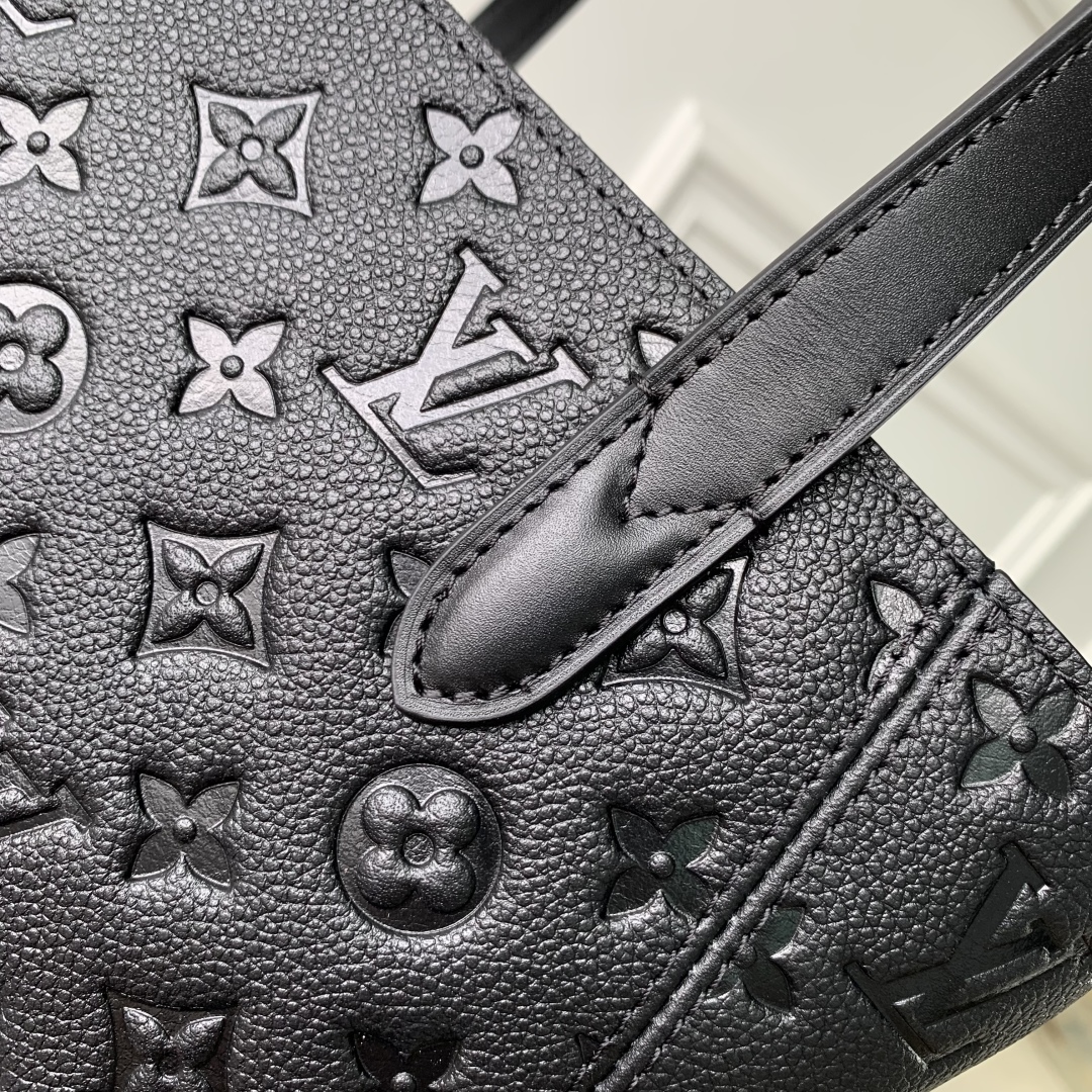 LOUIS VUITTON M25858 All In One PM