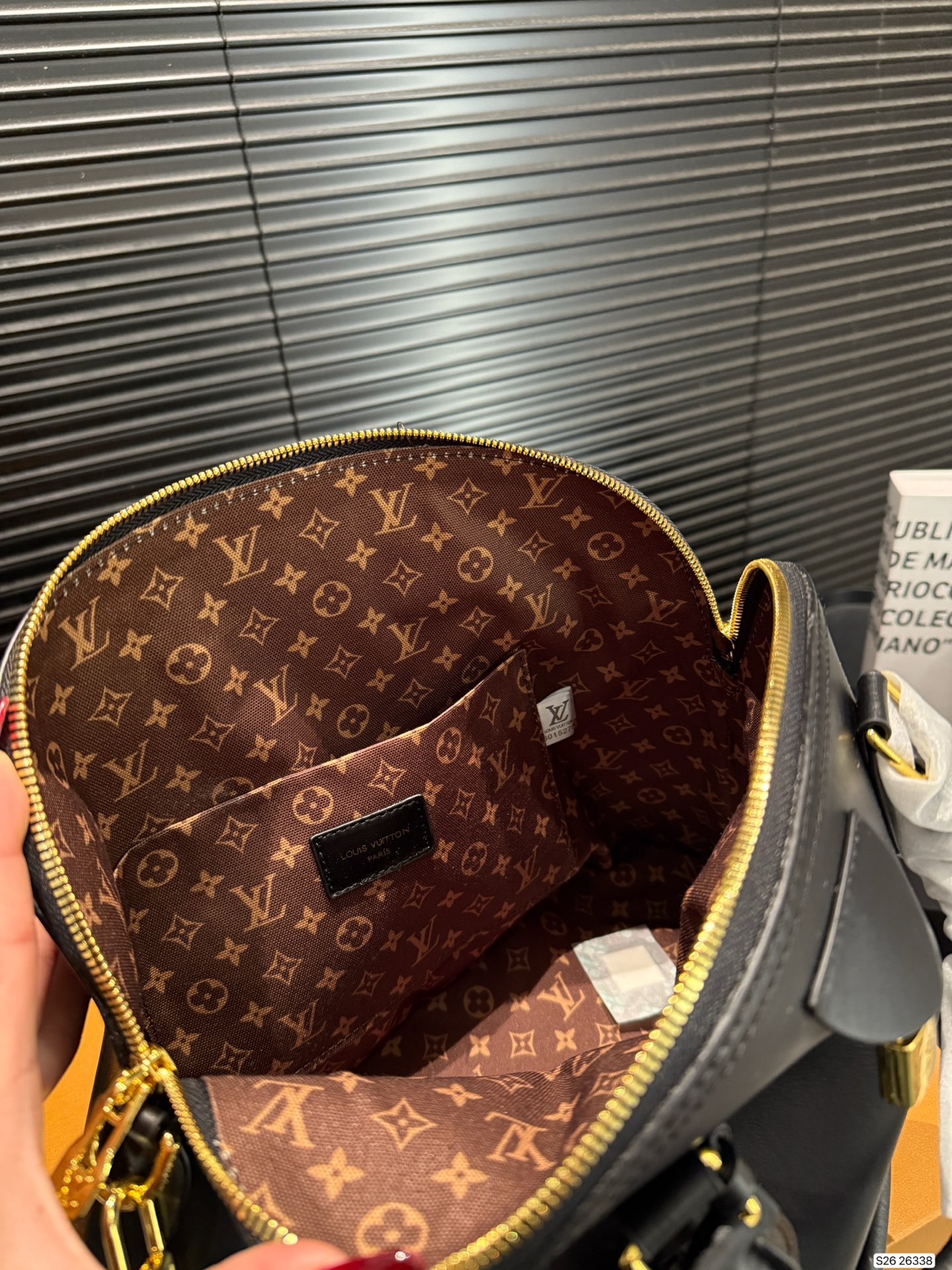 Louis Vuitton Shell Hobo