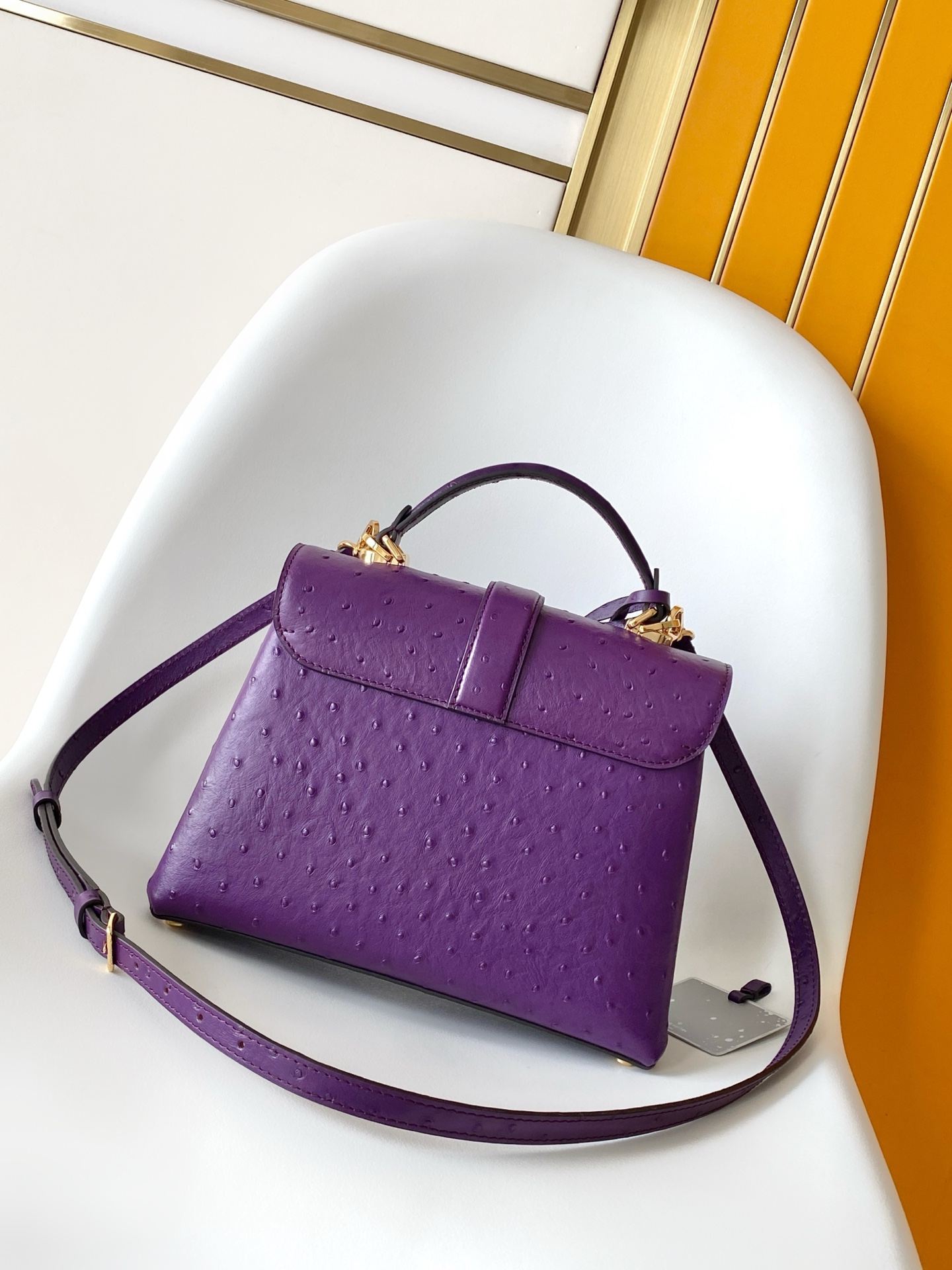 New Rose Des Vents Mini