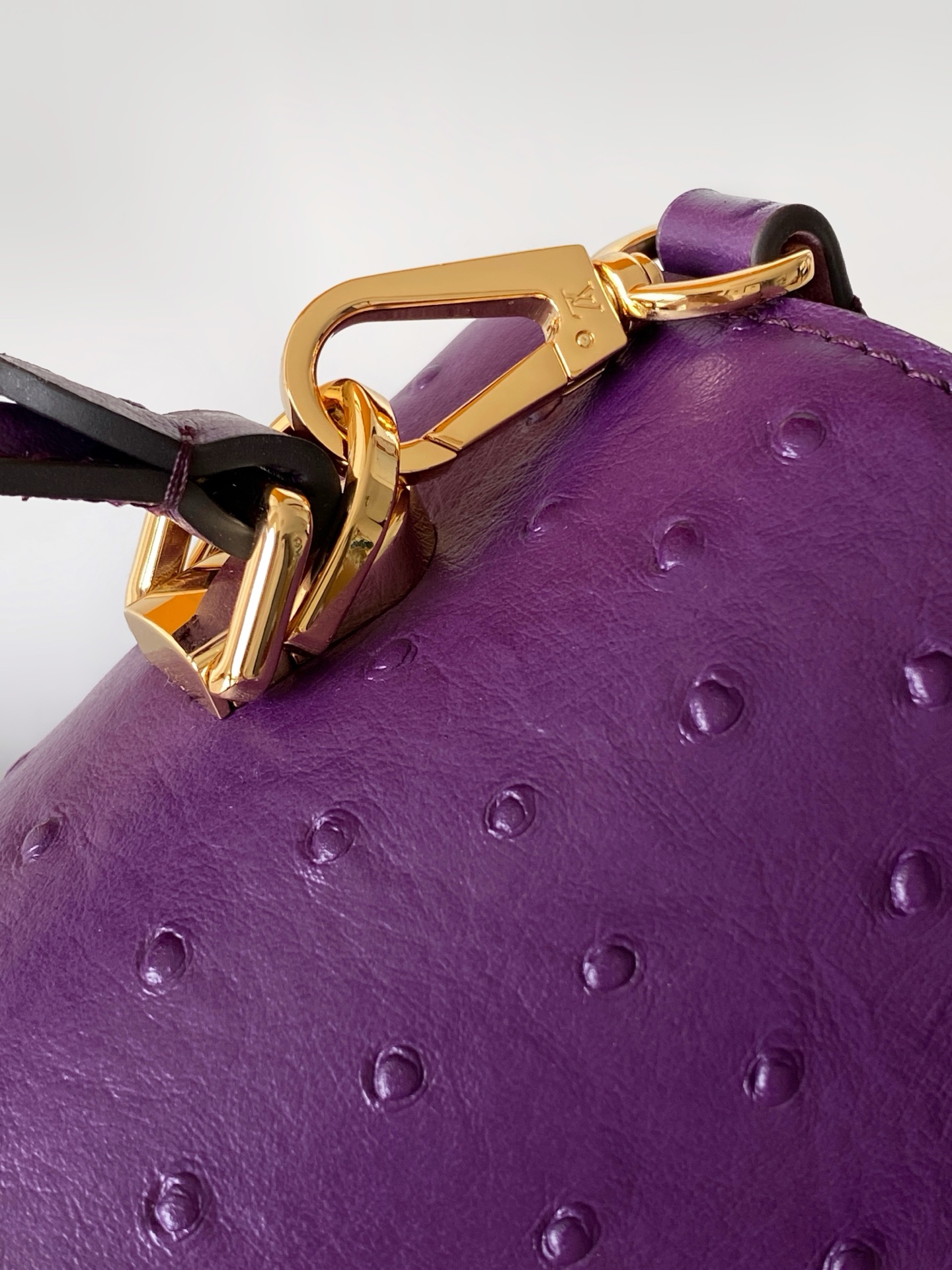 New Rose Des Vents Mini