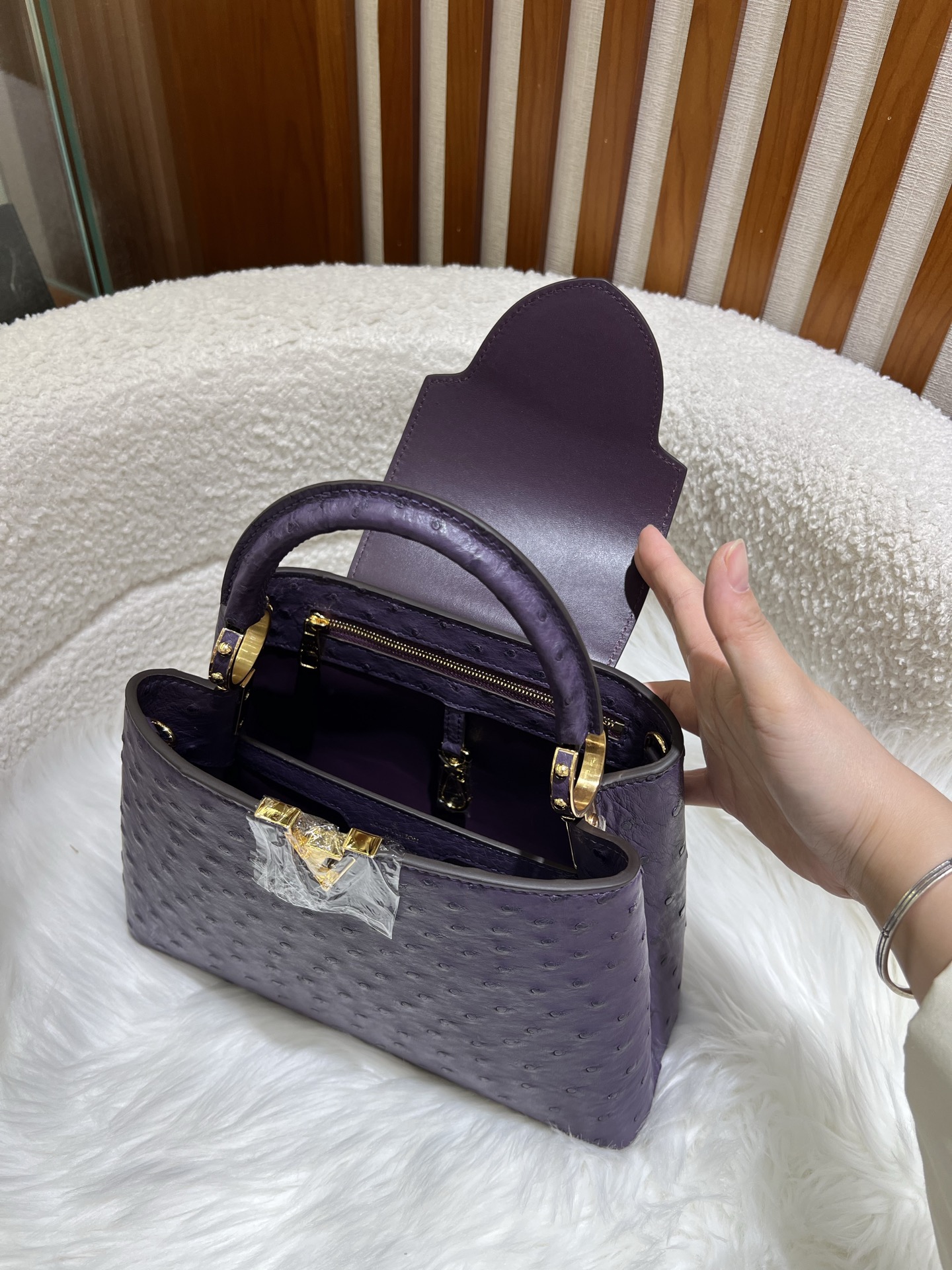 Louis Vuitton LV Monogram Capucines Mini