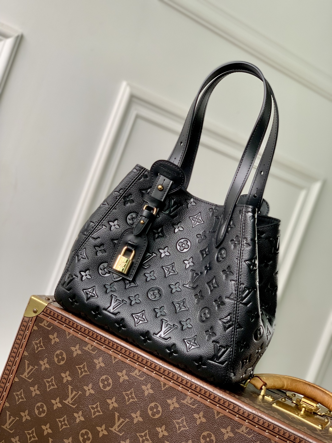 LOUIS VUITTON M25858 All In One PM