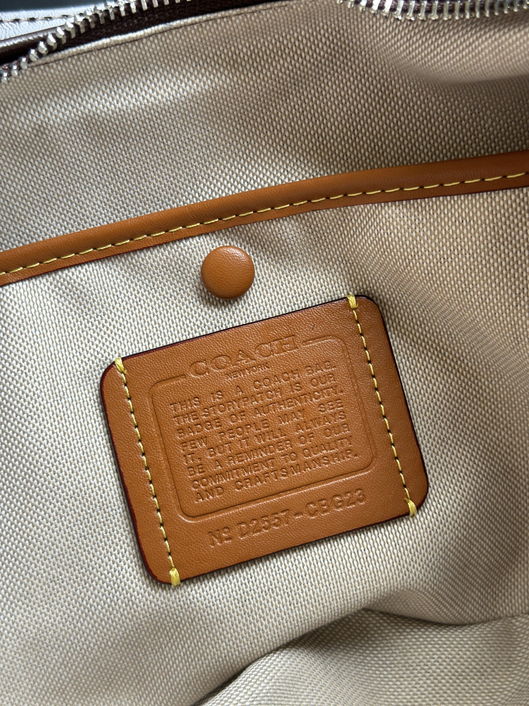 Coach Juliet Crescent Bag in Brown