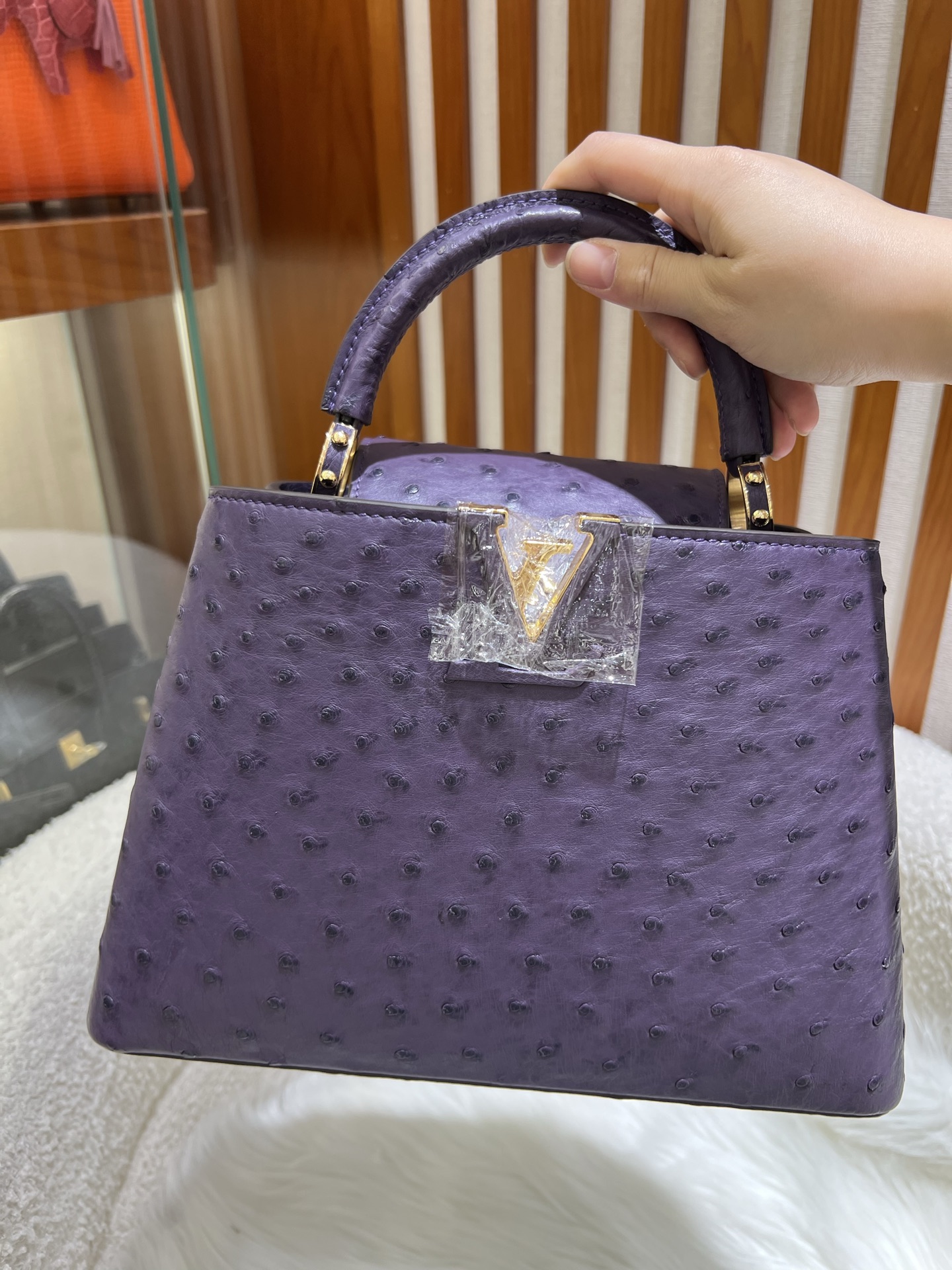 Louis Vuitton LV Monogram Capucines Mini