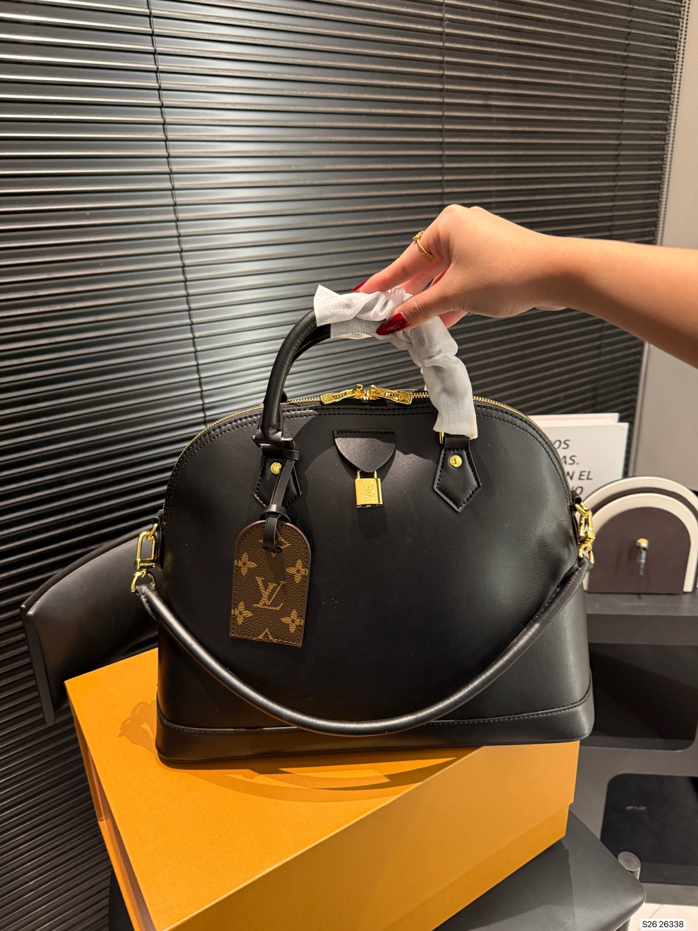 Louis Vuitton Shell Hobo