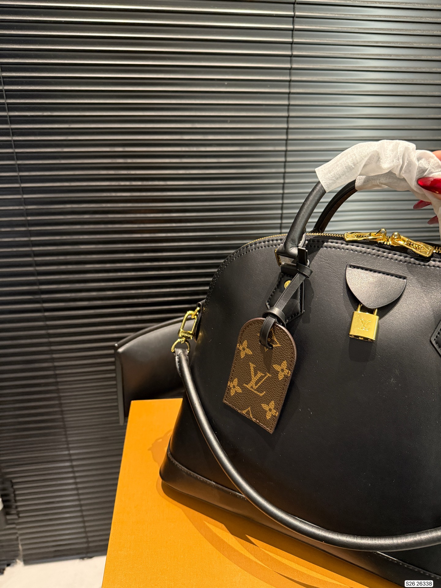 Louis Vuitton Shell Hobo