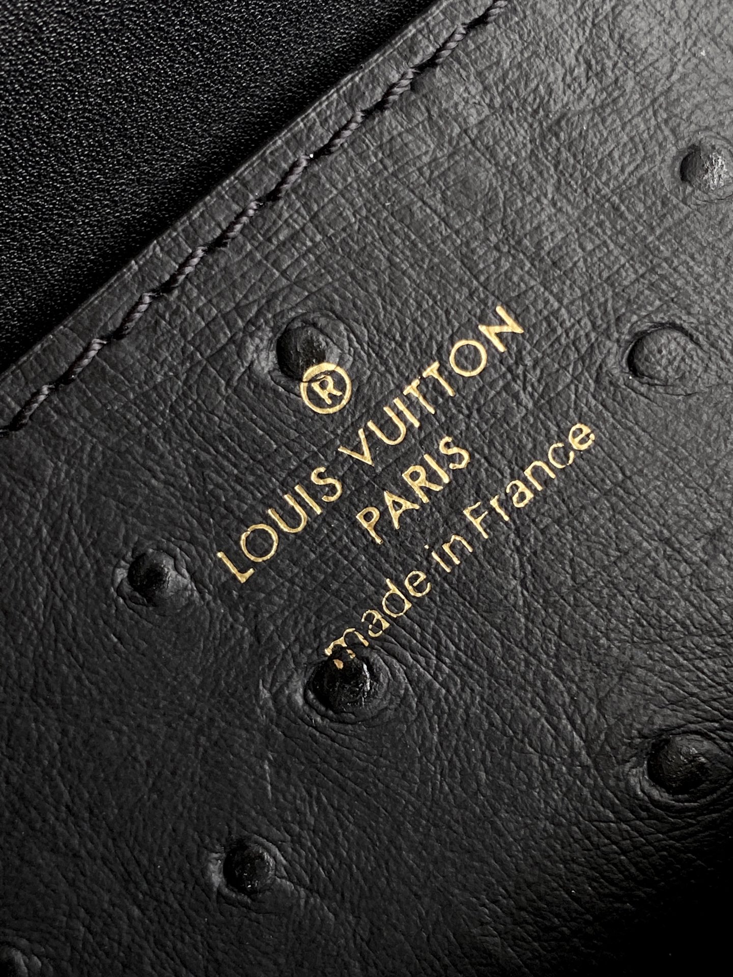 New Rose Des Vents Mini