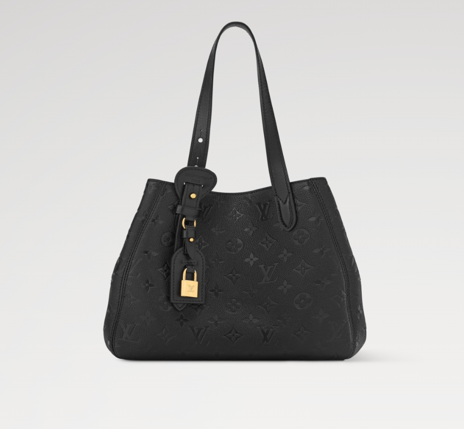 LOUIS VUITTON M25858 All In One PM