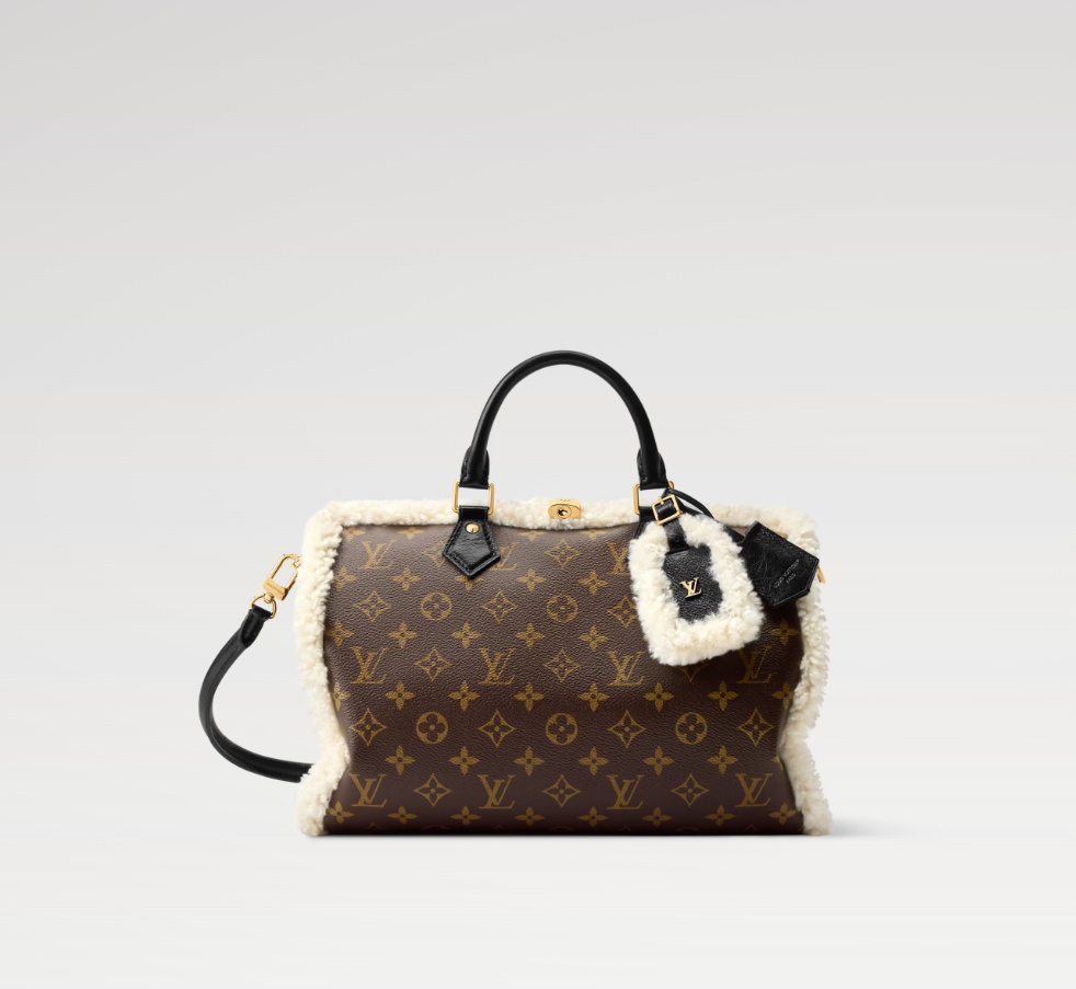 LOUIS VUITTON M26326 LV Ski Speedy Soft 30 Teddy