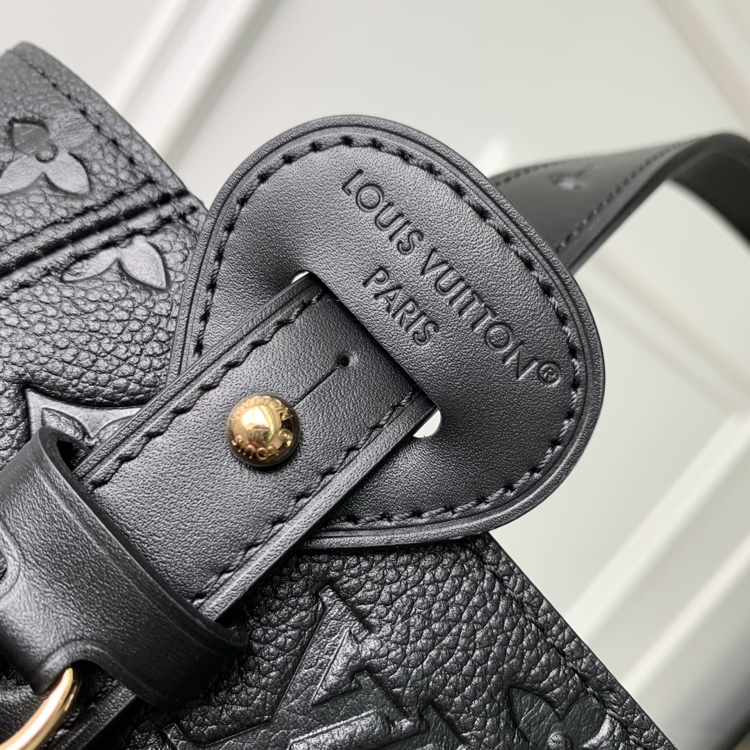 LOUIS VUITTON M25858 All In One PM