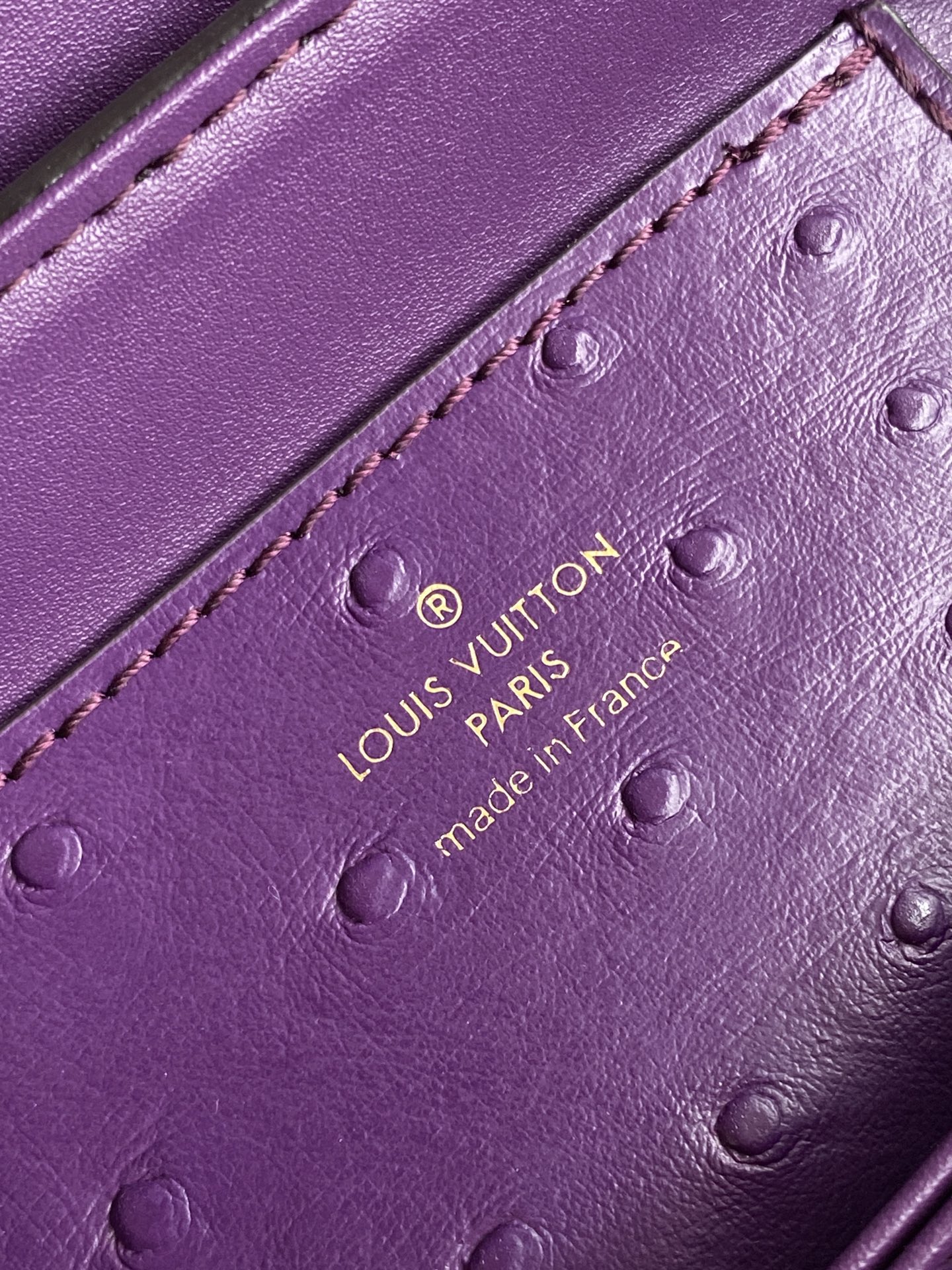 New Rose Des Vents Mini