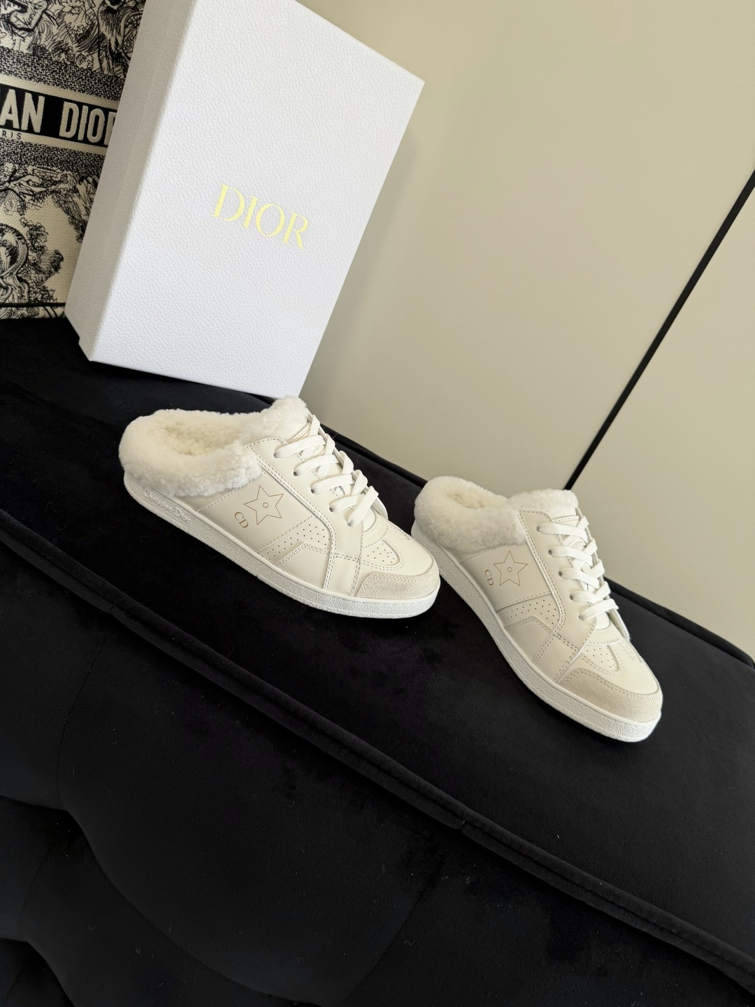 Dior Star Sneaker