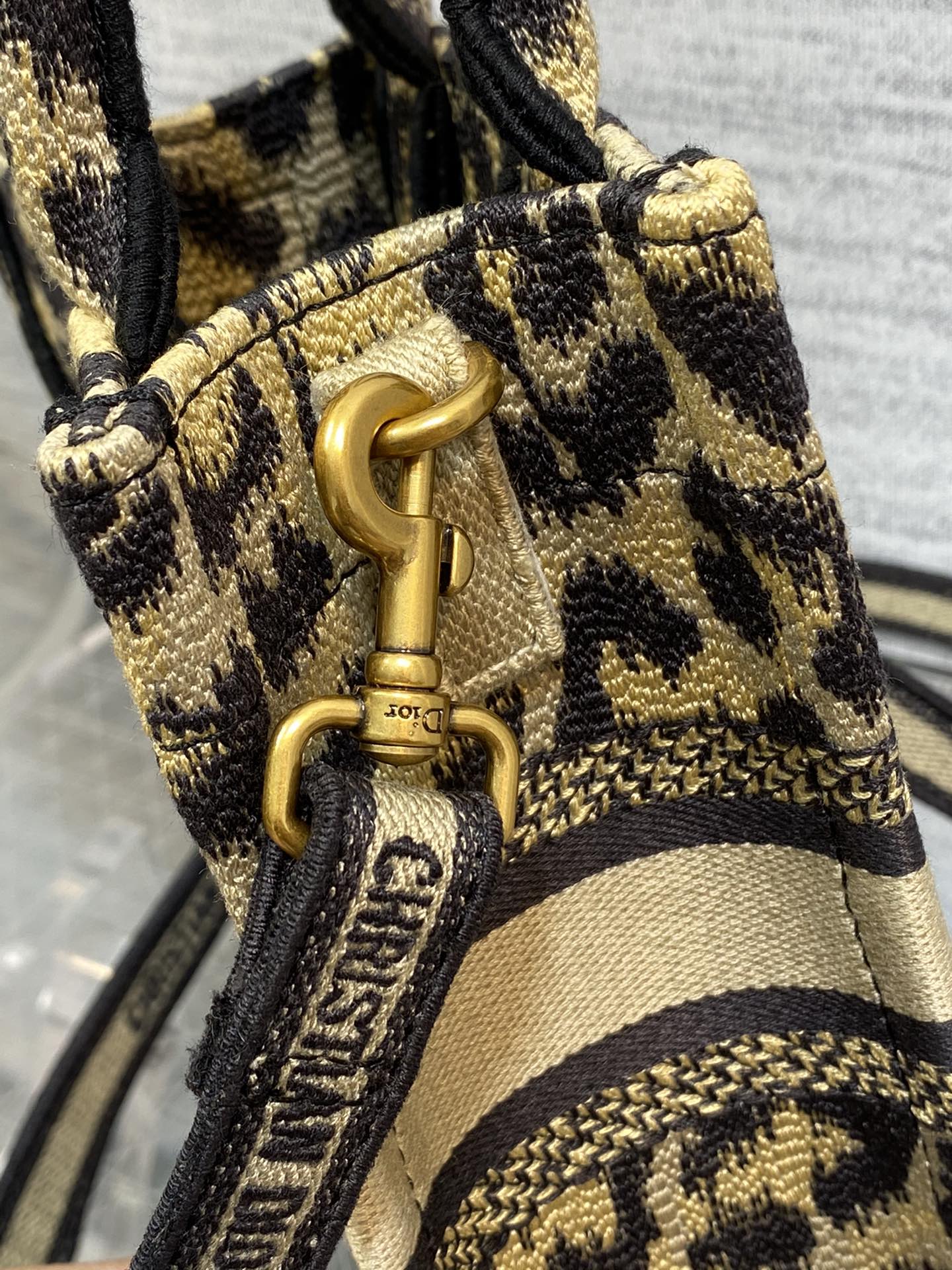 Dior Leopard Print Canvas Leopard Vertical Book Tote Beige