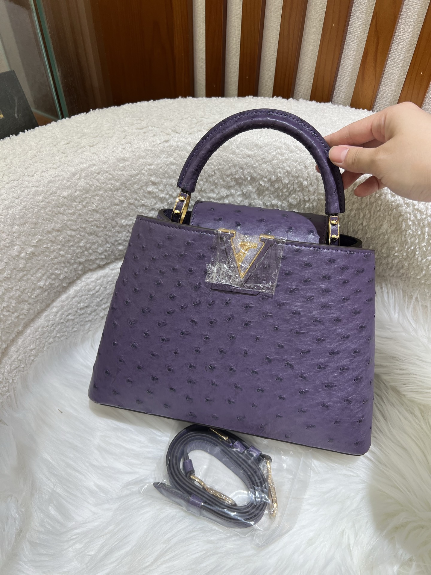 Louis Vuitton LV Monogram Capucines Mini