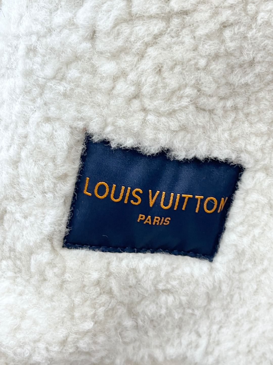 Louis Vuitton Shearling Embossed Monogram Leather Jacket