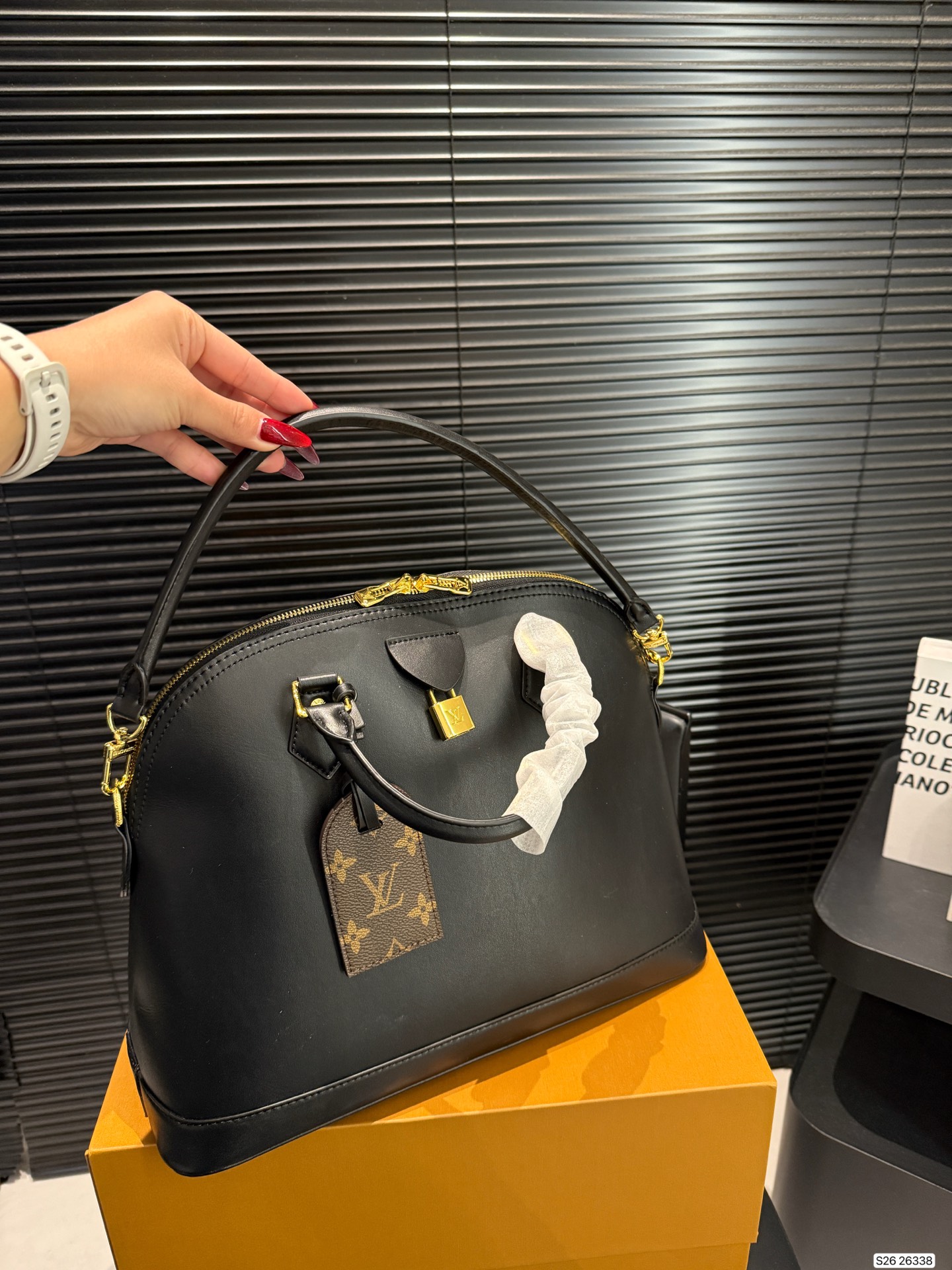 Louis Vuitton Shell Hobo