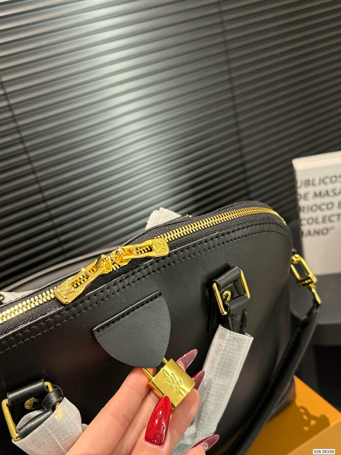 Louis Vuitton Shell Hobo