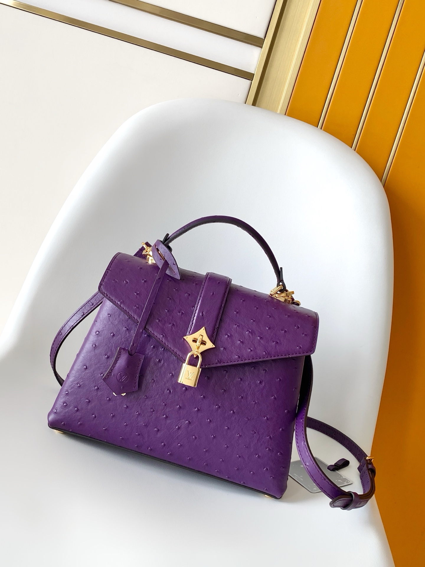 New Rose Des Vents Mini