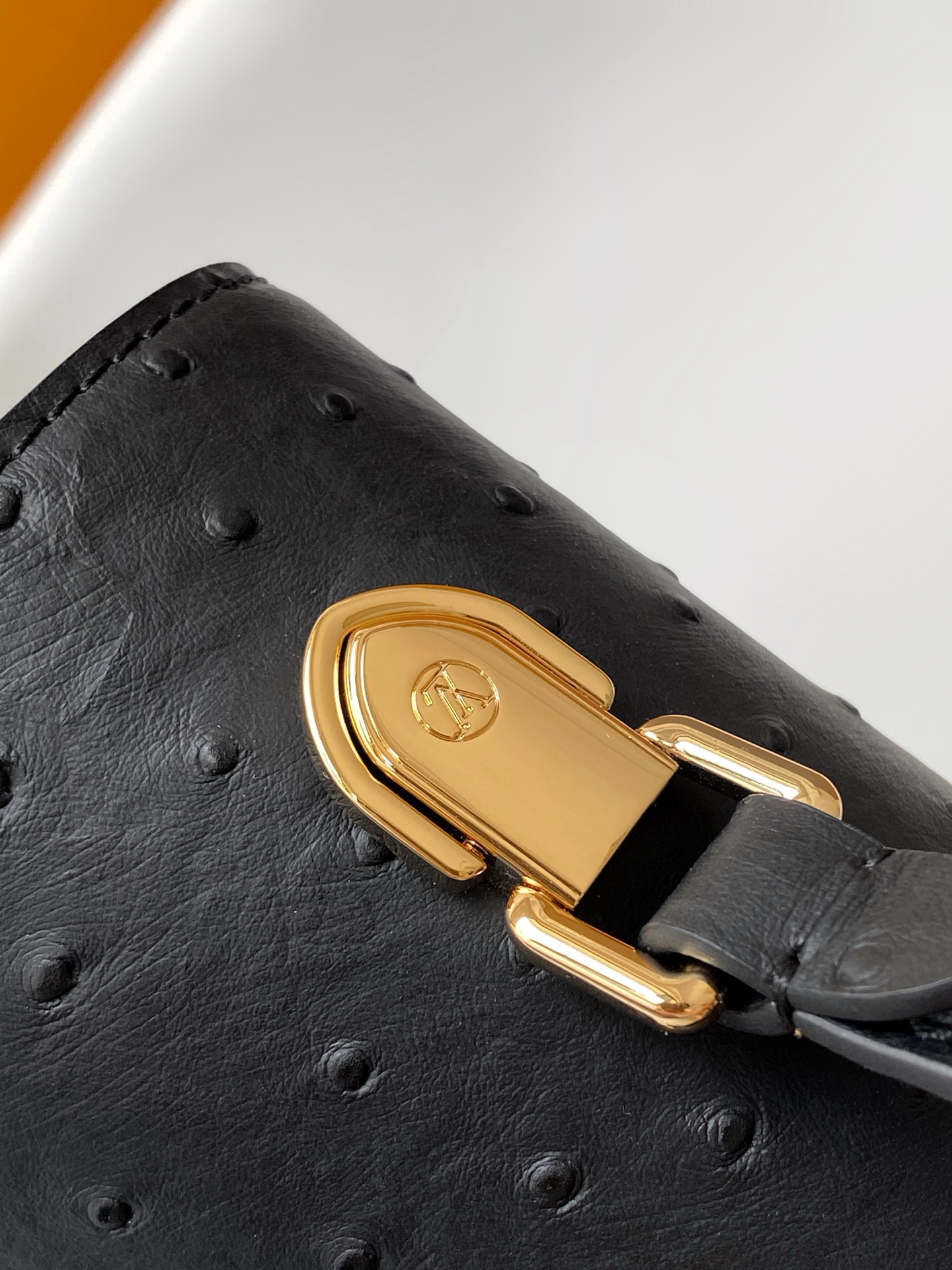 New Rose Des Vents Mini