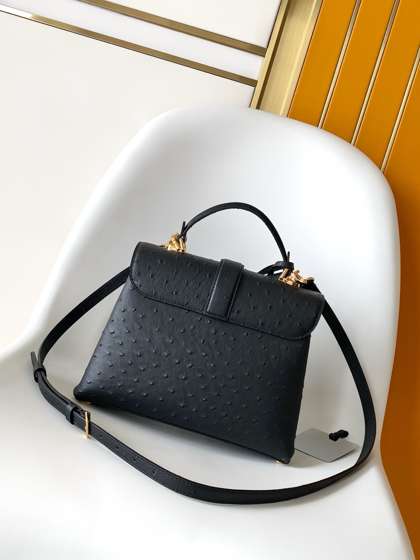 New Rose Des Vents Mini