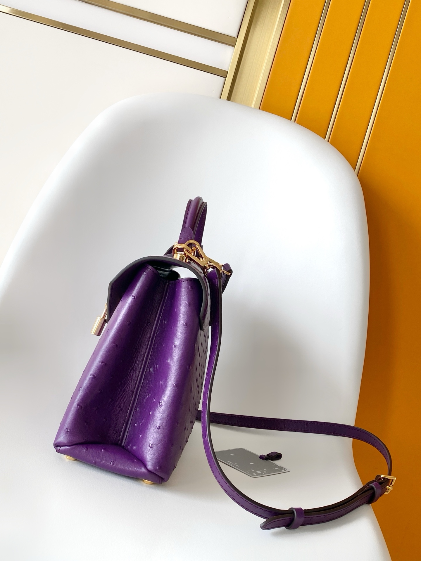 New Rose Des Vents Mini