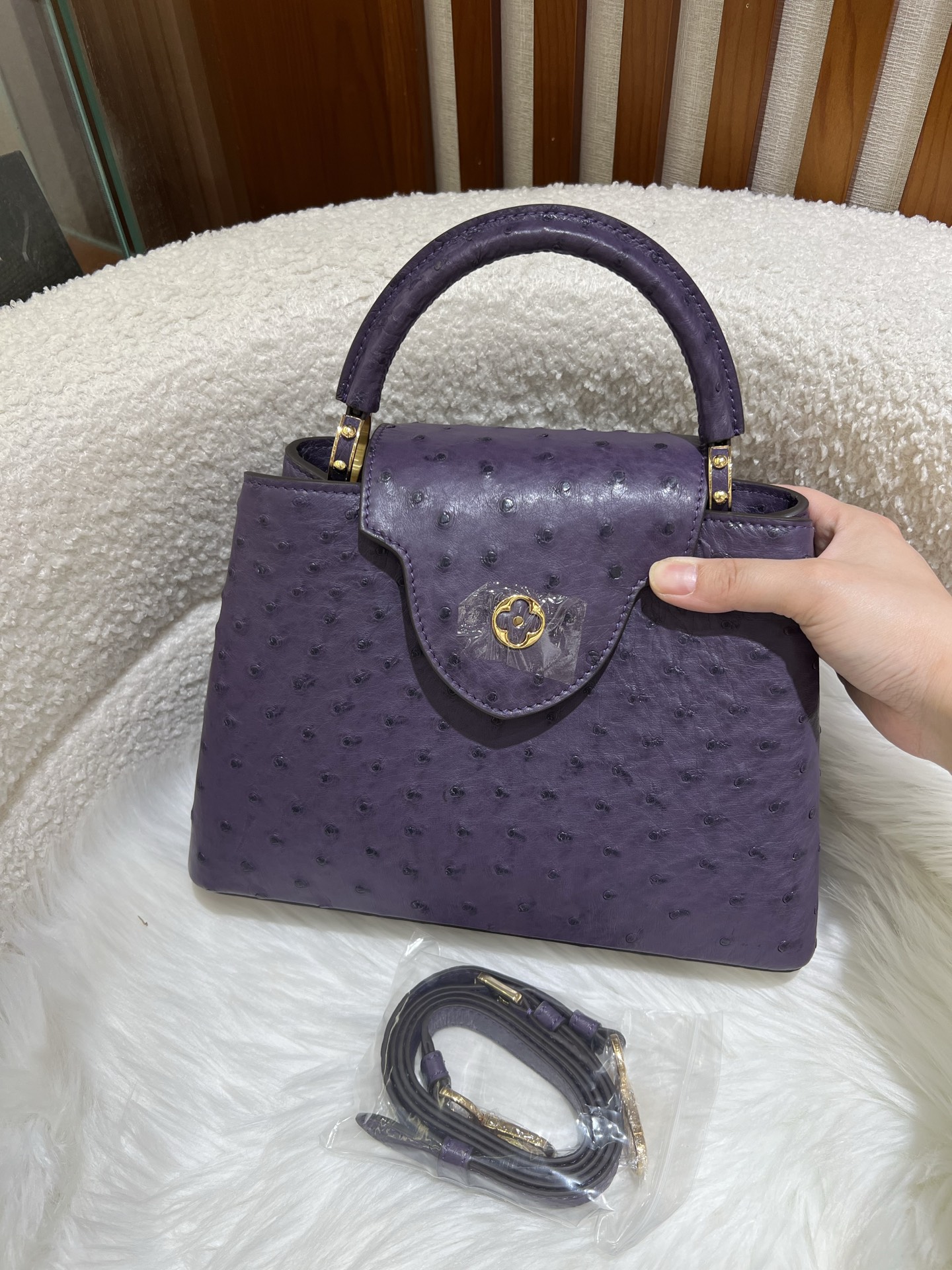 Louis Vuitton LV Monogram Capucines Mini
