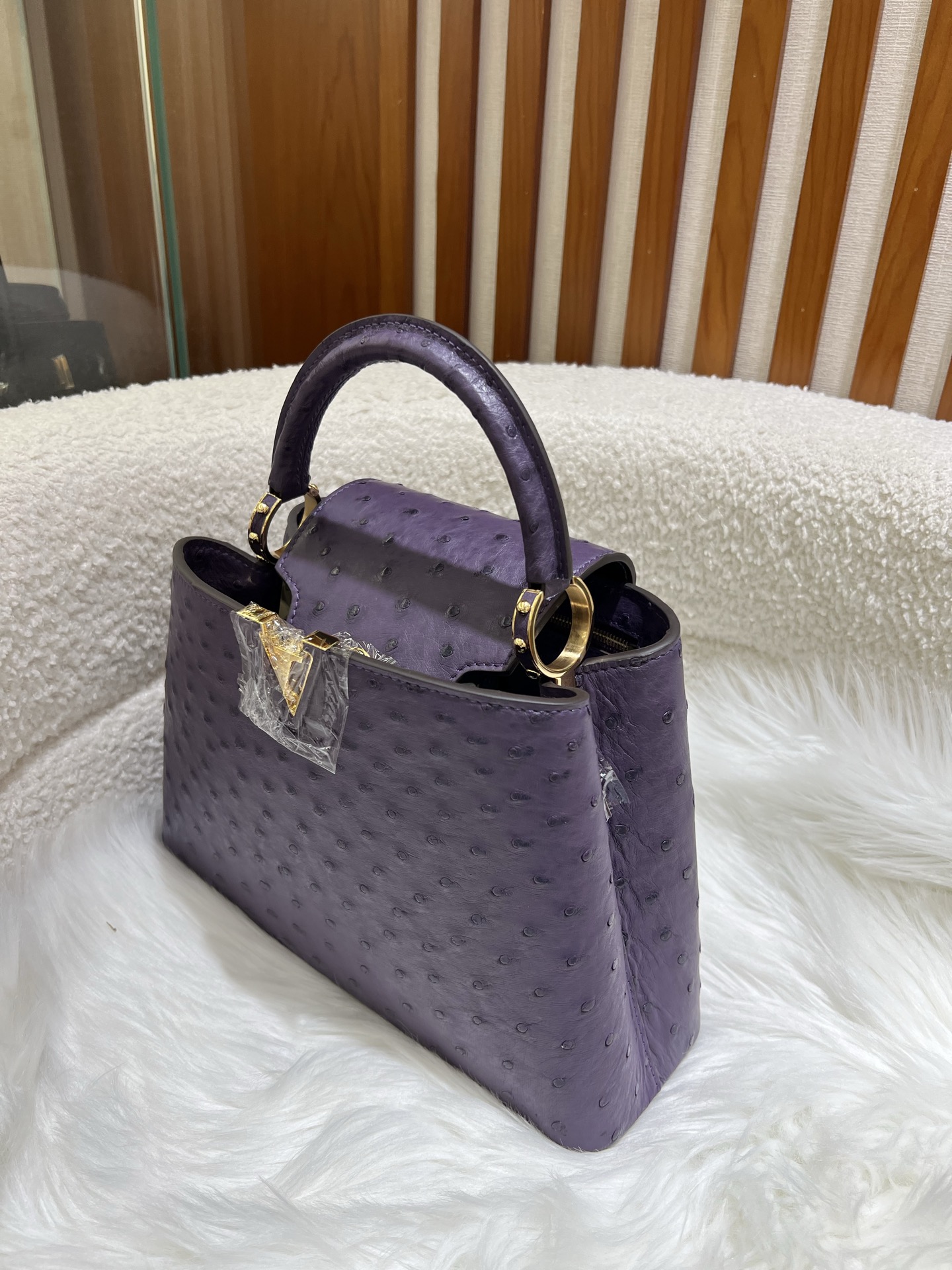 Louis Vuitton LV Monogram Capucines Mini