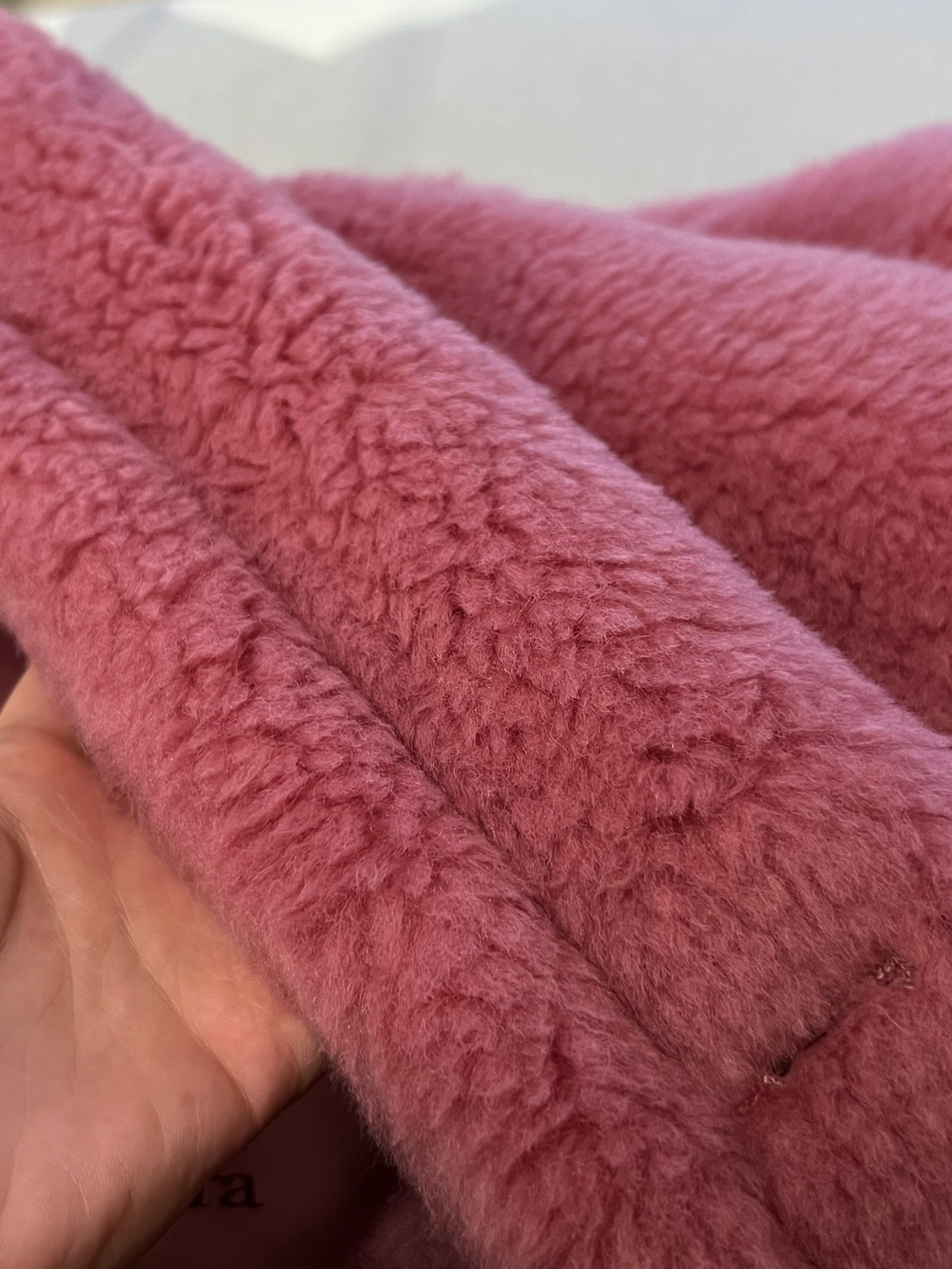 Max mara teddy bear icon coat