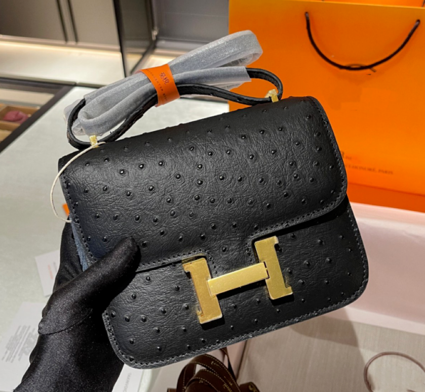 Hermes Constance Mini 19