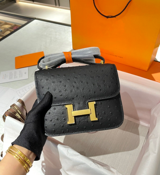 Hermes Constance Mini 19
