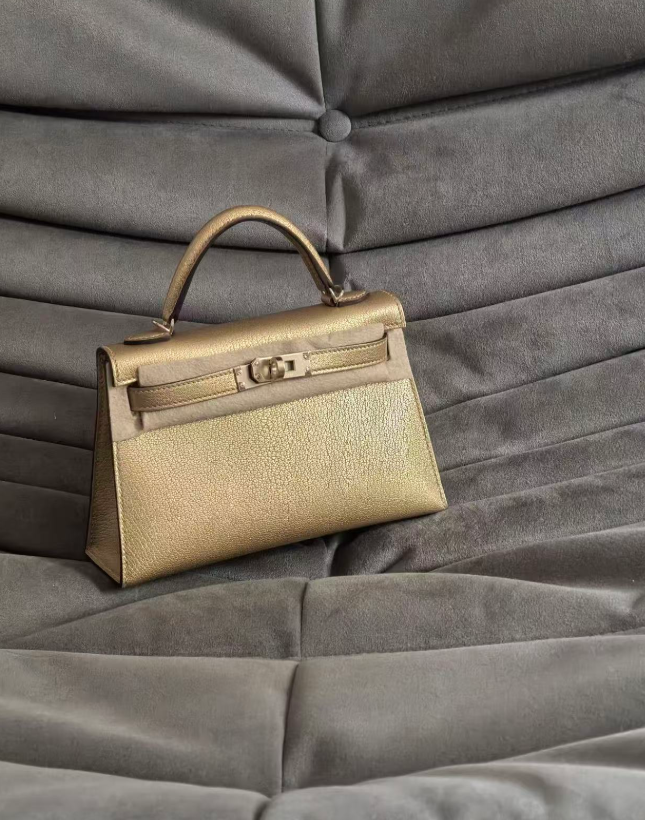 Hermes Kelly2 Mini 19 Gilding Custom-made
