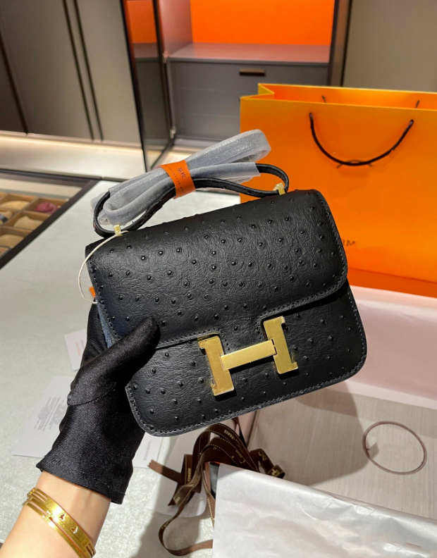 Hermes Constance Mini 19