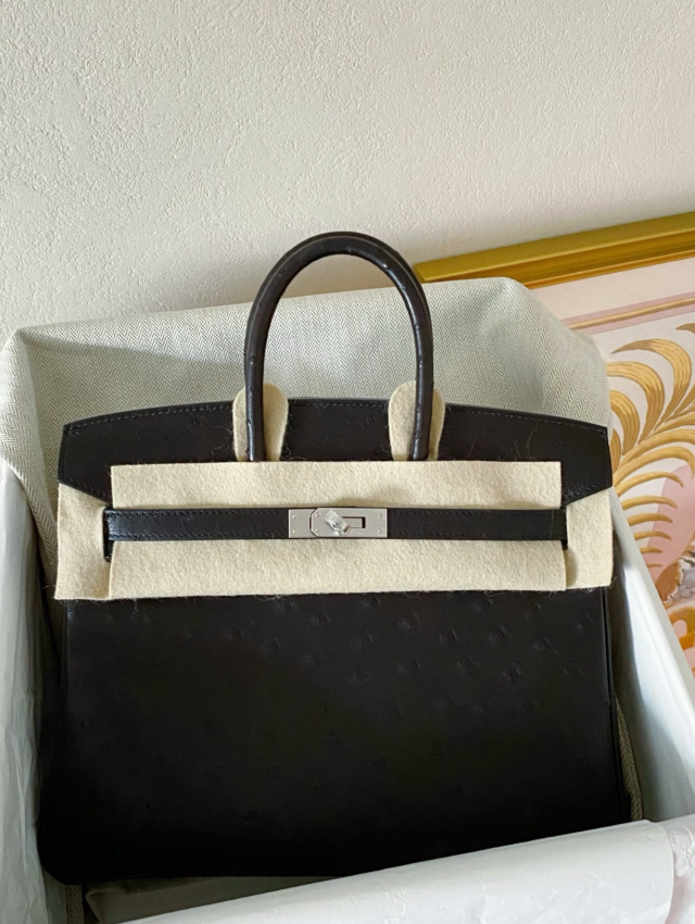 Hermès Birkin 25-35 silver buckle custom Ostrich leather