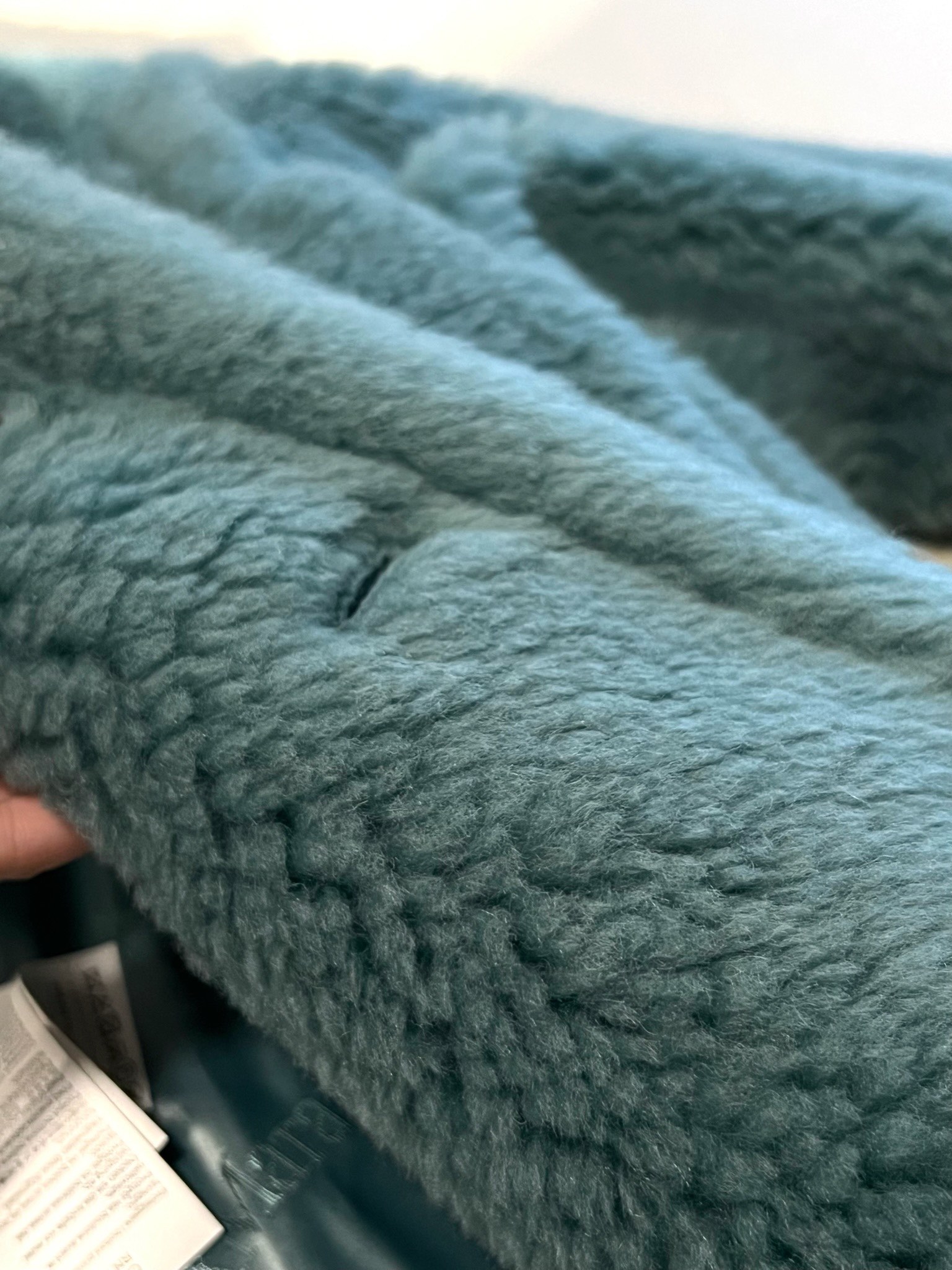 Max mara teddy bear icon coat