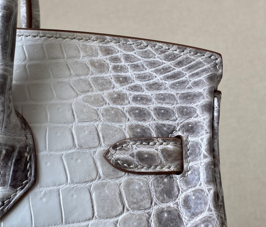 Hermès Brikin Himalayan 25 crocodile skin