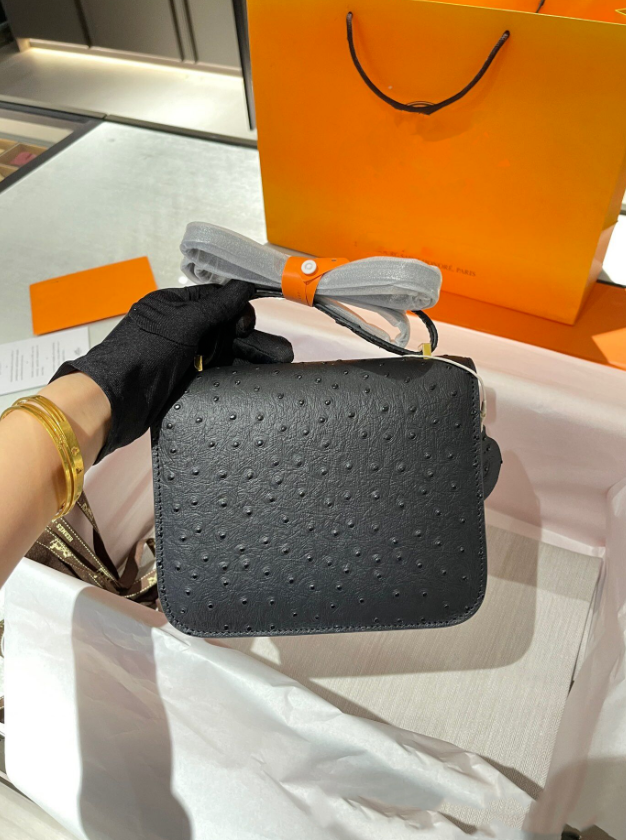 Hermes Constance Mini 19