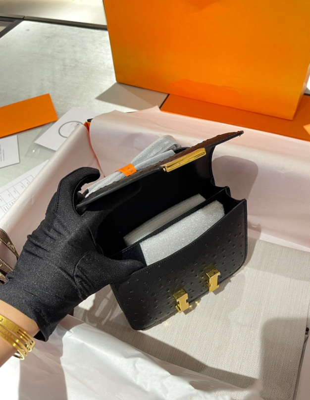 Hermes Constance Mini 19