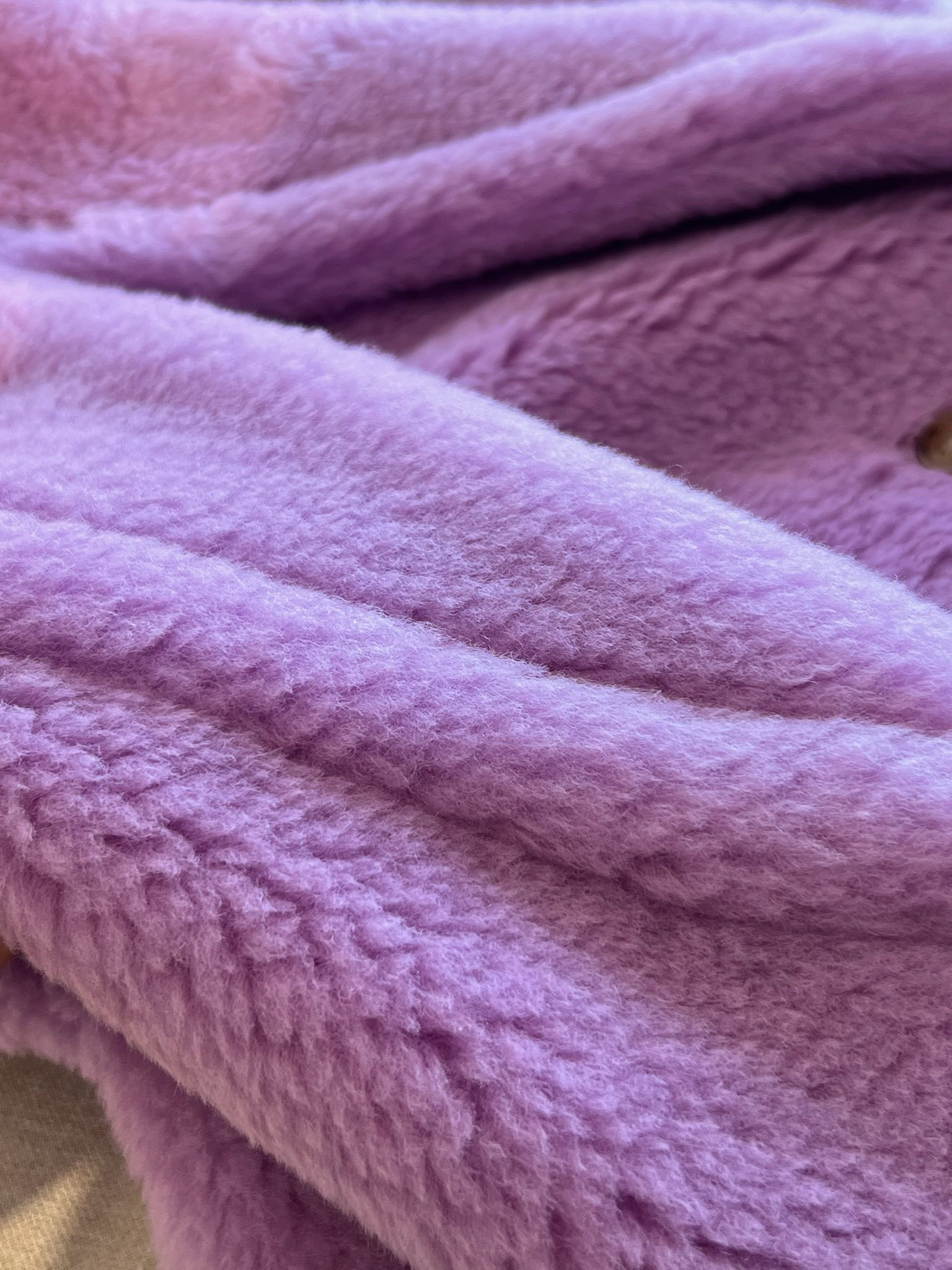 Max mara teddy bear icon coat