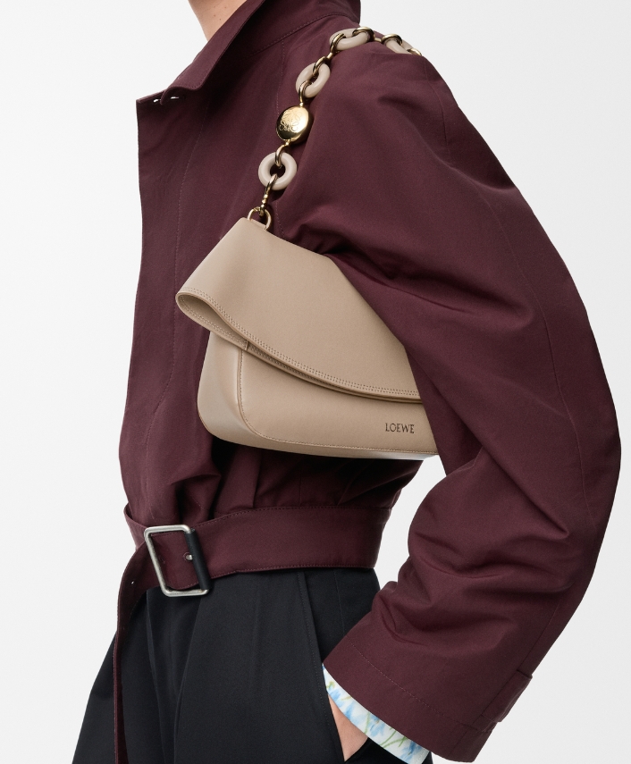 LOEWE Medium Ola bag in smooth calfskin