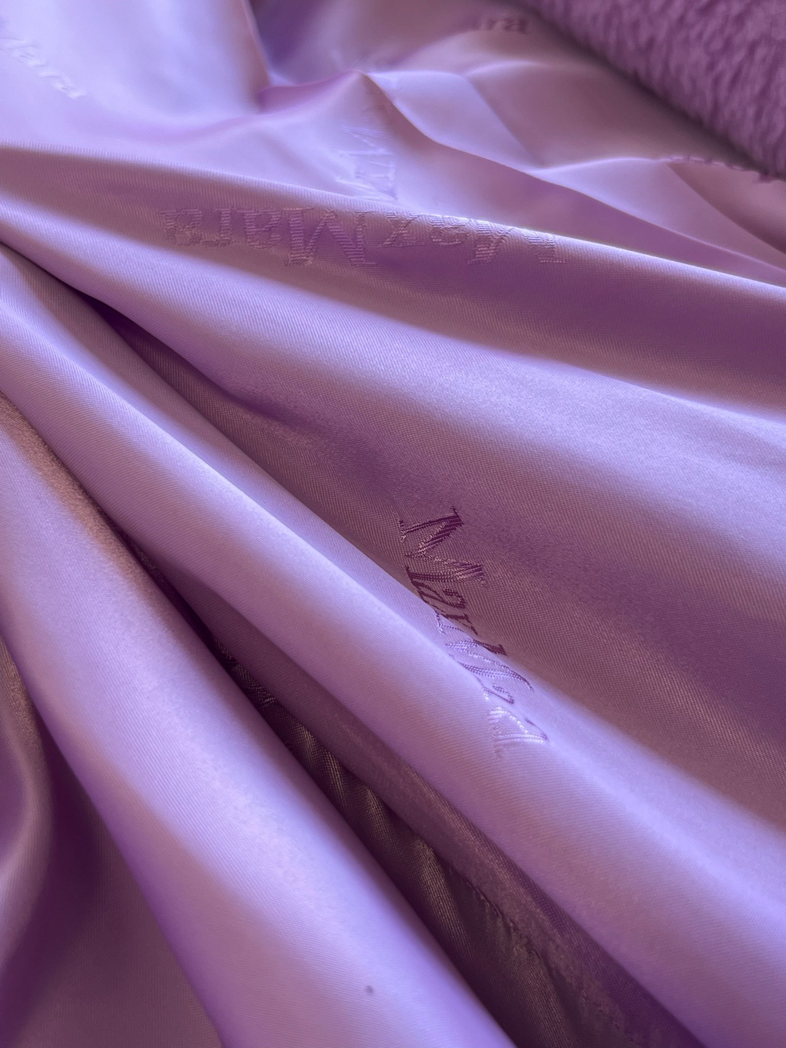 Max mara teddy bear icon coat