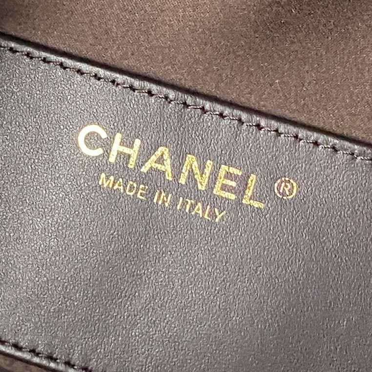 CHANEL Medium 25 Hobo Bag in Suede