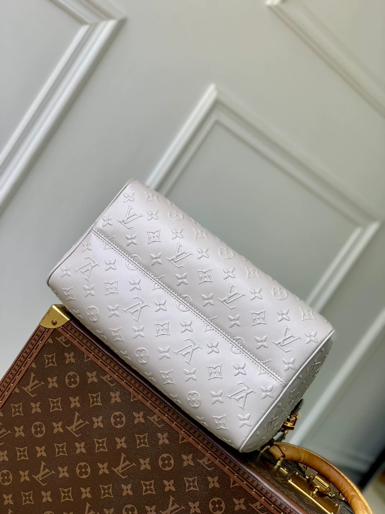 LOUIS VUITTON M25670 Speedy Soft 30